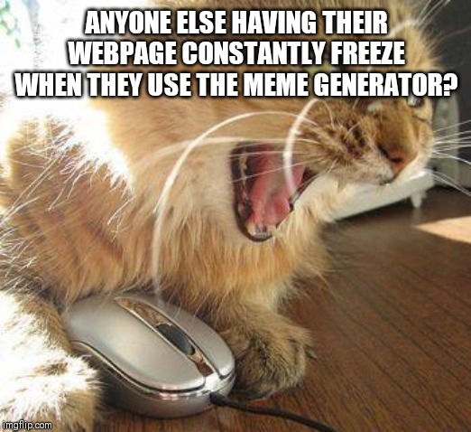 For the record I'm using a mobile | ANYONE ELSE HAVING THEIR WEBPAGE CONSTANTLY FREEZE WHEN THEY USE THE MEME GENERATOR? | image tagged in angry cat | made w/ Imgflip meme maker