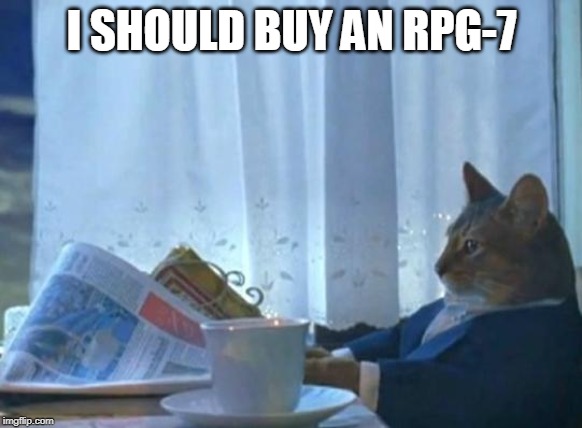 Cat newspaper | I SHOULD BUY AN RPG-7 | image tagged in cat newspaper | made w/ Imgflip meme maker