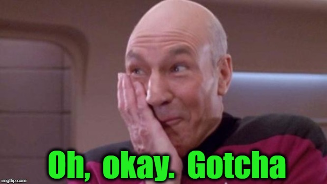 picard oops | Oh,  okay.  Gotcha | image tagged in picard oops | made w/ Imgflip meme maker