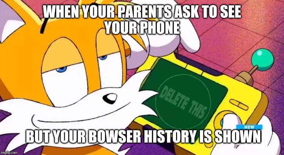 Tails smug face | WHEN YOUR PARENTS ASK TO SEE
YOUR PHONE; BUT YOUR BOWSER HISTORY IS SHOWN | image tagged in sonic the hedgehog | made w/ Imgflip meme maker