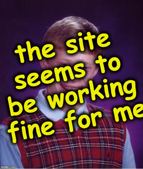 Bad Luck Brian Meme | the site seems to be working fine for me | image tagged in memes,bad luck brian | made w/ Imgflip meme maker