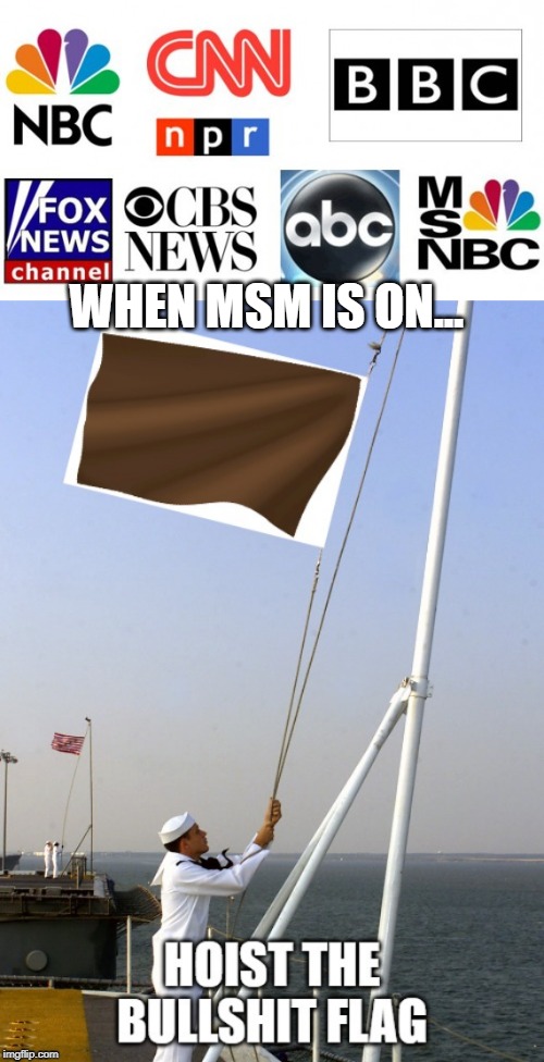 WHEN MSM IS ON... | image tagged in msm,flag | made w/ Imgflip meme maker