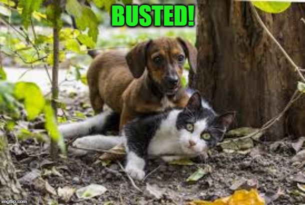 BUSTED! | made w/ Imgflip meme maker