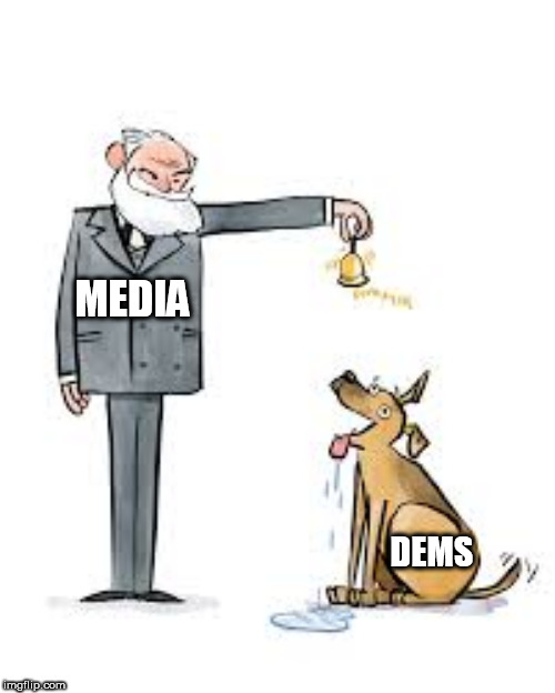 DEMOCRATS | MEDIA; DEMS | image tagged in democrats | made w/ Imgflip meme maker