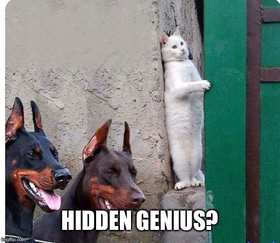 Hidden cat | HIDDEN GENIUS? | image tagged in hidden cat | made w/ Imgflip meme maker