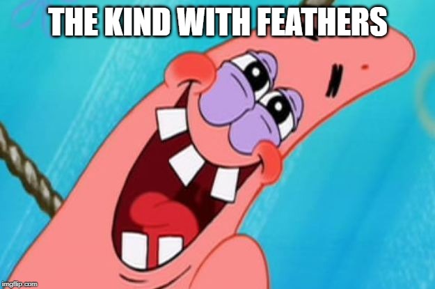 patrick star | THE KIND WITH FEATHERS | image tagged in patrick star | made w/ Imgflip meme maker