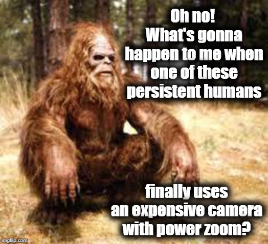 bigfoot | Oh no!  What's gonna happen to me when one of these persistent humans; finally uses an expensive camera with power zoom? | image tagged in bigfoot | made w/ Imgflip meme maker