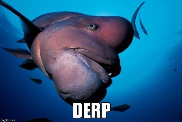 image tagged in memes | made w/ Imgflip meme maker