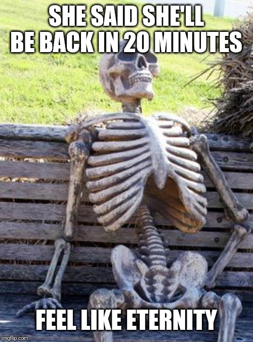 Waiting Skeleton Meme | SHE SAID SHE'LL BE BACK IN 20 MINUTES; FEEL LIKE ETERNITY | image tagged in memes,waiting skeleton | made w/ Imgflip meme maker