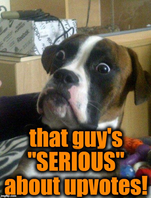 Blankie the Shocked Dog | that guy's "SERIOUS" about upvotes! | image tagged in blankie the shocked dog | made w/ Imgflip meme maker