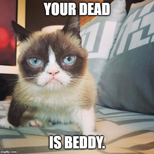 RIP GRUMPY | YOUR DEAD; IS BEDDY. | image tagged in grumpy cat,dead | made w/ Imgflip meme maker