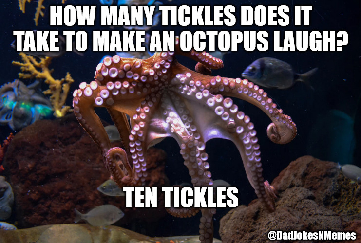 I got 'tickled' when I heard this one. | HOW MANY TICKLES DOES IT TAKE TO MAKE AN OCTOPUS LAUGH? TEN TICKLES; @DadJokesNMemes | image tagged in dad jokes,dad joke,octopus,animals | made w/ Imgflip meme maker