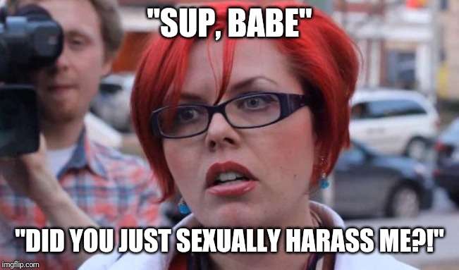 Angry Feminist | "SUP, BABE"; "DID YOU JUST SEXUALLY HARASS ME?!" | image tagged in angry feminist | made w/ Imgflip meme maker