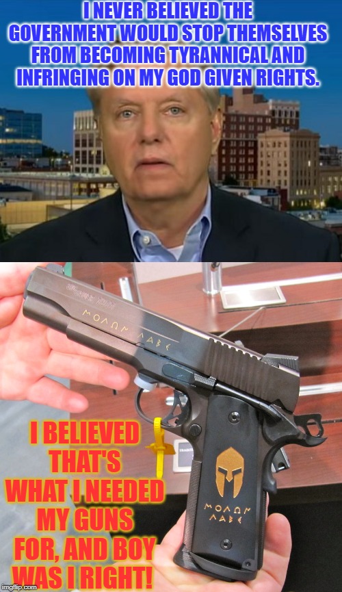 An Ugly Truth... | I NEVER BELIEVED THE GOVERNMENT WOULD STOP THEMSELVES FROM BECOMING TYRANNICAL AND INFRINGING ON MY GOD GIVEN RIGHTS. I BELIEVED THAT'S WHAT I NEEDED MY GUNS FOR, AND BOY WAS I RIGHT! | image tagged in gun control,mass shooting,a tragedy at walmart,second amendment | made w/ Imgflip meme maker