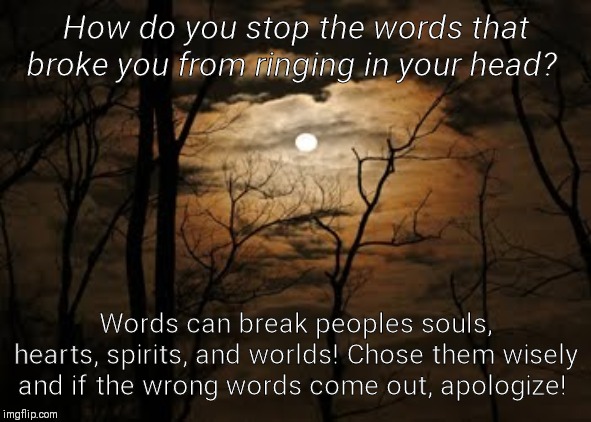 How do you stop the words that broke you from ringing in your head? Words can break peoples souls, hearts, spirits, and worlds! Chose them wisely and if the wrong words come out, apologize! | image tagged in pain,broken heart,words hurt | made w/ Imgflip meme maker
