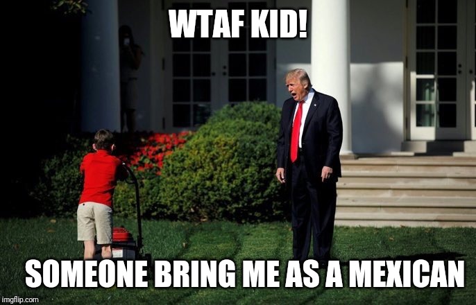 Trump Lawn Mower | WTAF KID! SOMEONE BRING ME AS A MEXICAN | image tagged in trump lawn mower | made w/ Imgflip meme maker