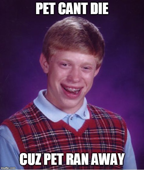 Bad Luck Brian | PET CANT DIE; CUZ PET RAN AWAY | image tagged in memes,bad luck brian | made w/ Imgflip meme maker