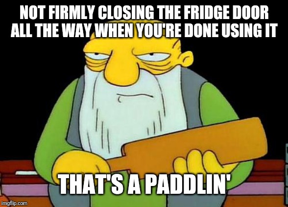 Always close the fridge when you're done using it | NOT FIRMLY CLOSING THE FRIDGE DOOR ALL THE WAY WHEN YOU'RE DONE USING IT; THAT'S A PADDLIN' | image tagged in memes,that's a paddlin' | made w/ Imgflip meme maker
