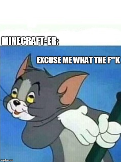 tom excuse me update | MINECRAFT-ER: | image tagged in tom excuse me update | made w/ Imgflip meme maker