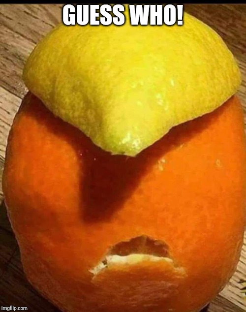 Memes | GUESS WHO! | image tagged in pepperidge farm remembers | made w/ Imgflip meme maker