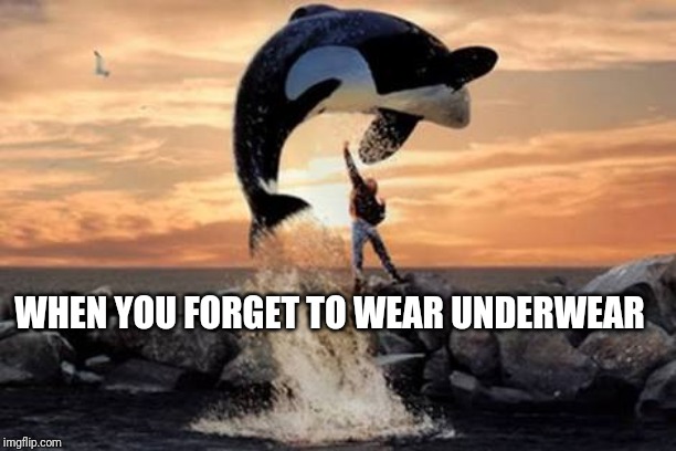 Free Willy blank | WHEN YOU FORGET TO WEAR UNDERWEAR | image tagged in free willy blank | made w/ Imgflip meme maker