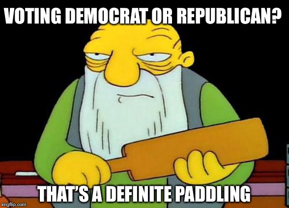 That's a paddlin' | VOTING DEMOCRAT OR REPUBLICAN? THAT’S A DEFINITE PADDLING | image tagged in memes,that's a paddlin' | made w/ Imgflip meme maker