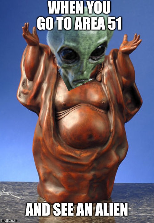 Area 51 alien | WHEN YOU GO TO AREA 51; AND SEE AN ALIEN | image tagged in laughing buddha | made w/ Imgflip meme maker
