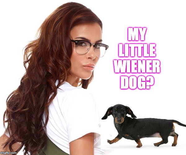 MY LITTLE WIENER DOG? | made w/ Imgflip meme maker