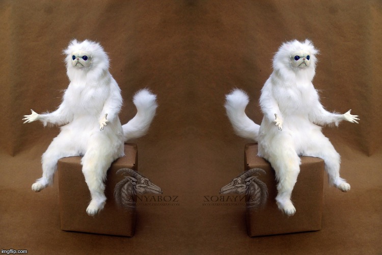 image tagged in memes,persian cat room guardian single | made w/ Imgflip meme maker