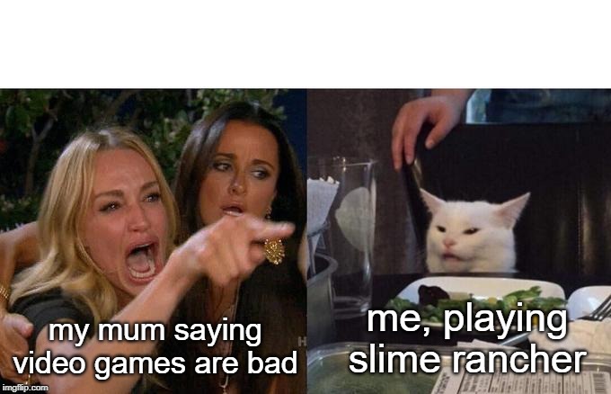 Woman Yelling At Cat | my mum saying video games are bad; me, playing slime rancher | image tagged in two women yelling at a cat | made w/ Imgflip meme maker