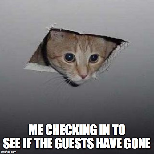 Ceiling Cat | ME CHECKING IN TO SEE IF THE GUESTS HAVE GONE | image tagged in memes,ceiling cat | made w/ Imgflip meme maker