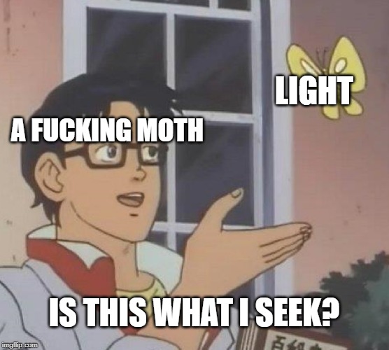 Is This A Pigeon Meme | A F**KING MOTH LIGHT IS THIS WHAT I SEEK? | image tagged in memes,is this a pigeon | made w/ Imgflip meme maker