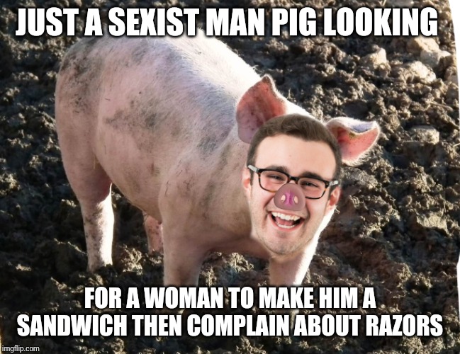 Sexist man pig | JUST A SEXIST MAN PIG LOOKING; FOR A WOMAN TO MAKE HIM A SANDWICH THEN COMPLAIN ABOUT RAZORS | image tagged in sexist man pig | made w/ Imgflip meme maker