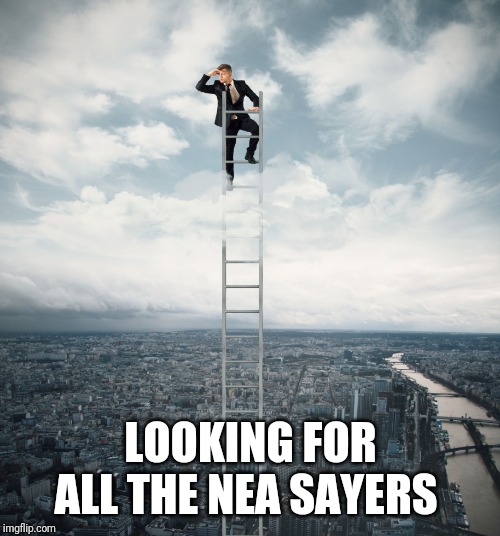 searching | LOOKING FOR ALL THE NEA SAYERS | image tagged in searching | made w/ Imgflip meme maker