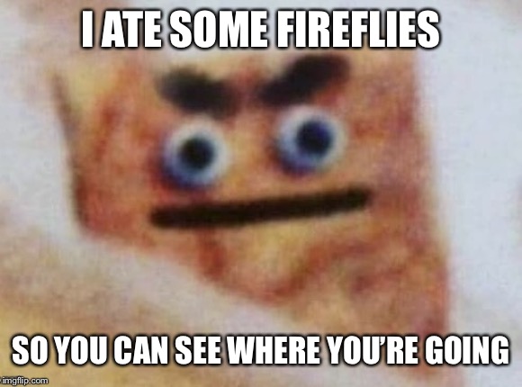 Perverted Cinnamon Toast | I ATE SOME FIREFLIES SO YOU CAN SEE WHERE YOU’RE GOING | image tagged in perverted cinnamon toast | made w/ Imgflip meme maker