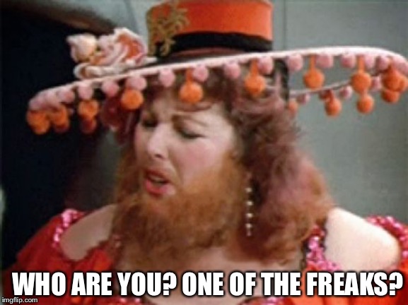 Spaceball freaks | WHO ARE YOU? ONE OF THE FREAKS? | image tagged in spaceballs | made w/ Imgflip meme maker