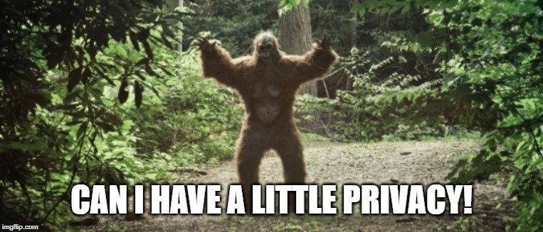 Big Foot | CAN I HAVE A LITTLE PRIVACY! | image tagged in big foot | made w/ Imgflip meme maker
