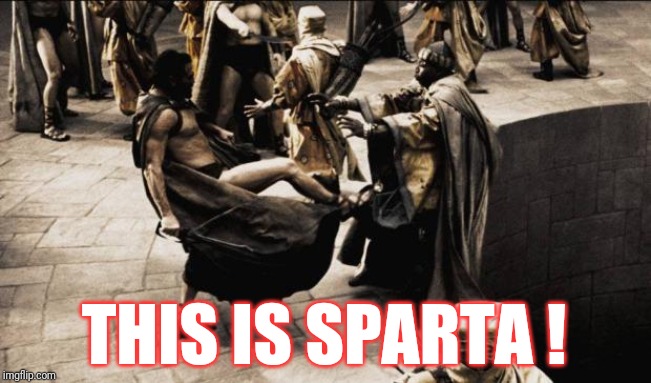 madness - this is sparta | THIS IS SPARTA ! | image tagged in madness - this is sparta | made w/ Imgflip meme maker