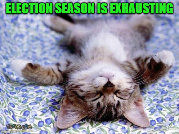 UpsideDwon Sleeping Cat | ELECTION SEASON IS EXHAUSTING | image tagged in upsidedwon sleeping cat | made w/ Imgflip meme maker