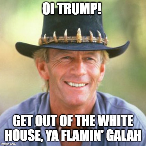 australianguy | OI TRUMP! GET OUT OF THE WHITE HOUSE, YA FLAMIN' GALAH | image tagged in australianguy | made w/ Imgflip meme maker