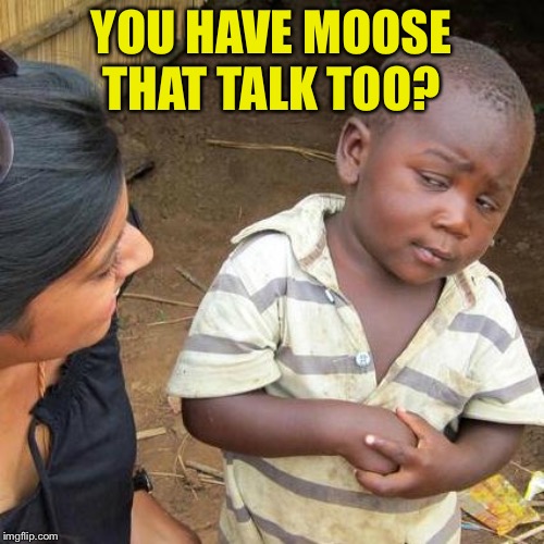 Third World Skeptical Kid Meme | YOU HAVE MOOSE THAT TALK TOO? | image tagged in memes,third world skeptical kid | made w/ Imgflip meme maker