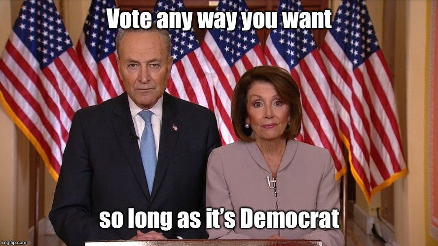 Chuck and Nancy | Vote any way you want so long as it’s Democrat | image tagged in chuck and nancy | made w/ Imgflip meme maker