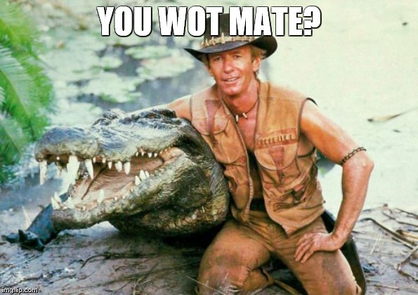 Crocodile Dundee Paul Hogan | YOU WOT MATE? | image tagged in crocodile dundee paul hogan | made w/ Imgflip meme maker