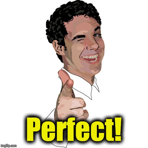 wink | Perfect! | image tagged in wink | made w/ Imgflip meme maker