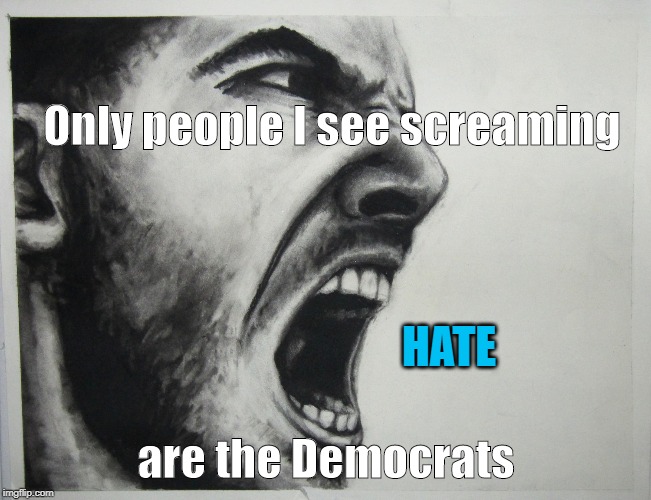 Democrats spreading hate | Only people I see screaming; HATE; are the Democrats | image tagged in democrats,hate,party of hate | made w/ Imgflip meme maker