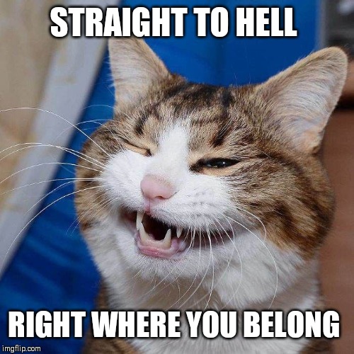 STRAIGHT TO HELL RIGHT WHERE YOU BELONG | made w/ Imgflip meme maker