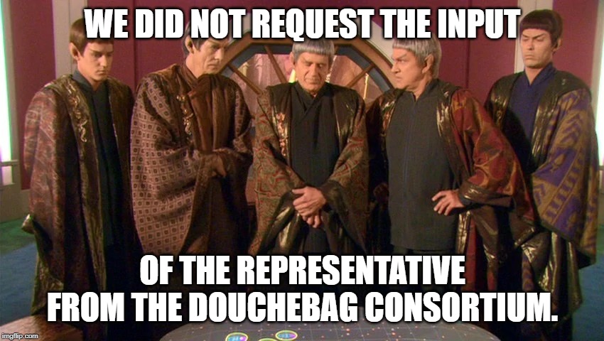 vulcan council | WE DID NOT REQUEST THE INPUT; OF THE REPRESENTATIVE FROM THE DOUCHEBAG CONSORTIUM. | image tagged in vulcan council | made w/ Imgflip meme maker