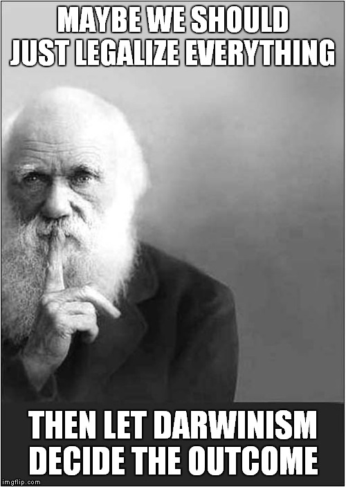 Let Darwinism Decide | MAYBE WE SHOULD JUST LEGALIZE EVERYTHING; THEN LET DARWINISM DECIDE THE OUTCOME | image tagged in fun,darwin award | made w/ Imgflip meme maker