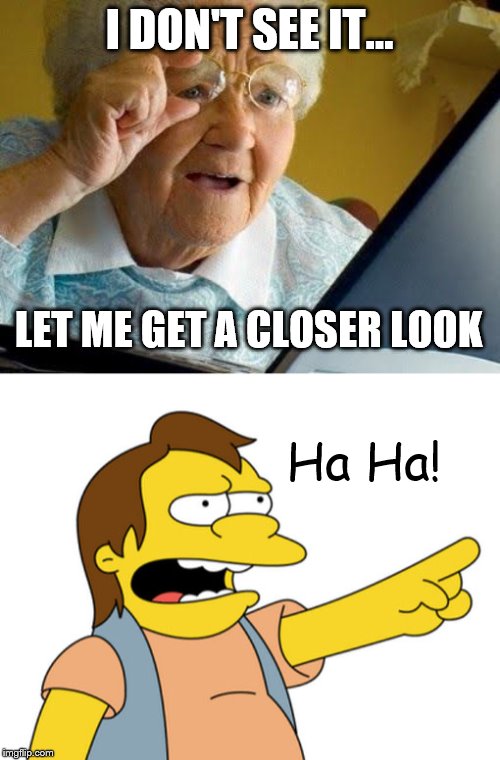 I DON'T SEE IT... LET ME GET A CLOSER LOOK Ha Ha! | image tagged in old lady at computer,nelson muntz haha | made w/ Imgflip meme maker