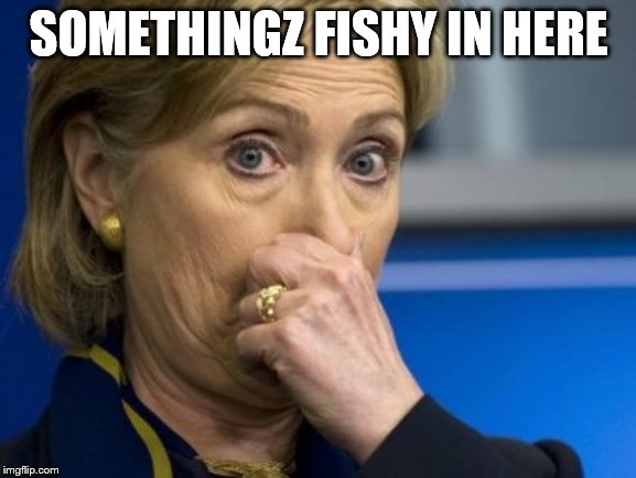 Hillary hold nose | SOMETHINGZ FISHY IN HERE | image tagged in hillary hold nose | made w/ Imgflip meme maker